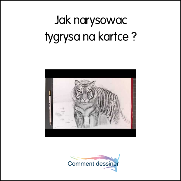 Jak narysować tygrysa na kartce